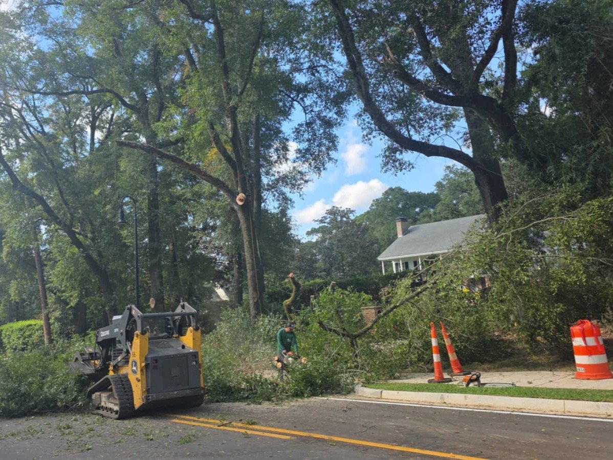 A&F Tree Services Llc