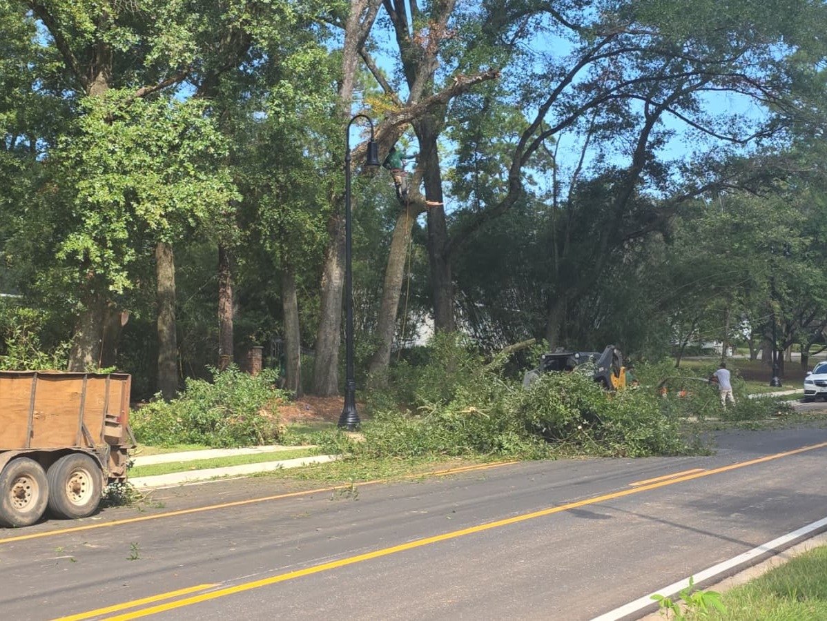 A&F Tree Services Llc